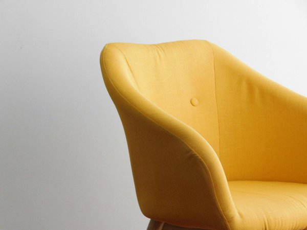 Comment sélectionner les meilleures plantes grimpantes pour embellir et protéger votre façade de façon optimale ?