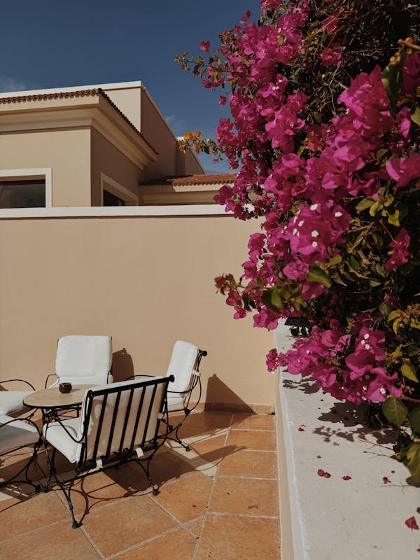 Carrelage extérieur : styles et conseils pour embellir votre jardin